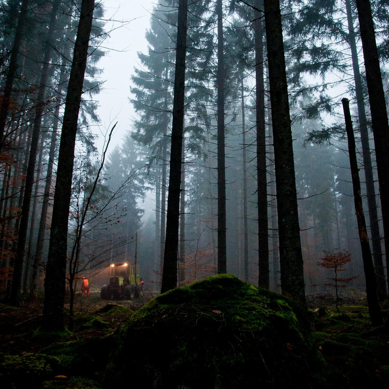 Holzfäller — Bayerischer Wald — Fotografie von Simon Graf