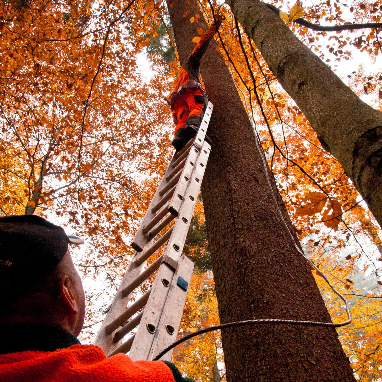 Holzfäller — Bayerischer Wald — Fotografie von Simon Graf (2)