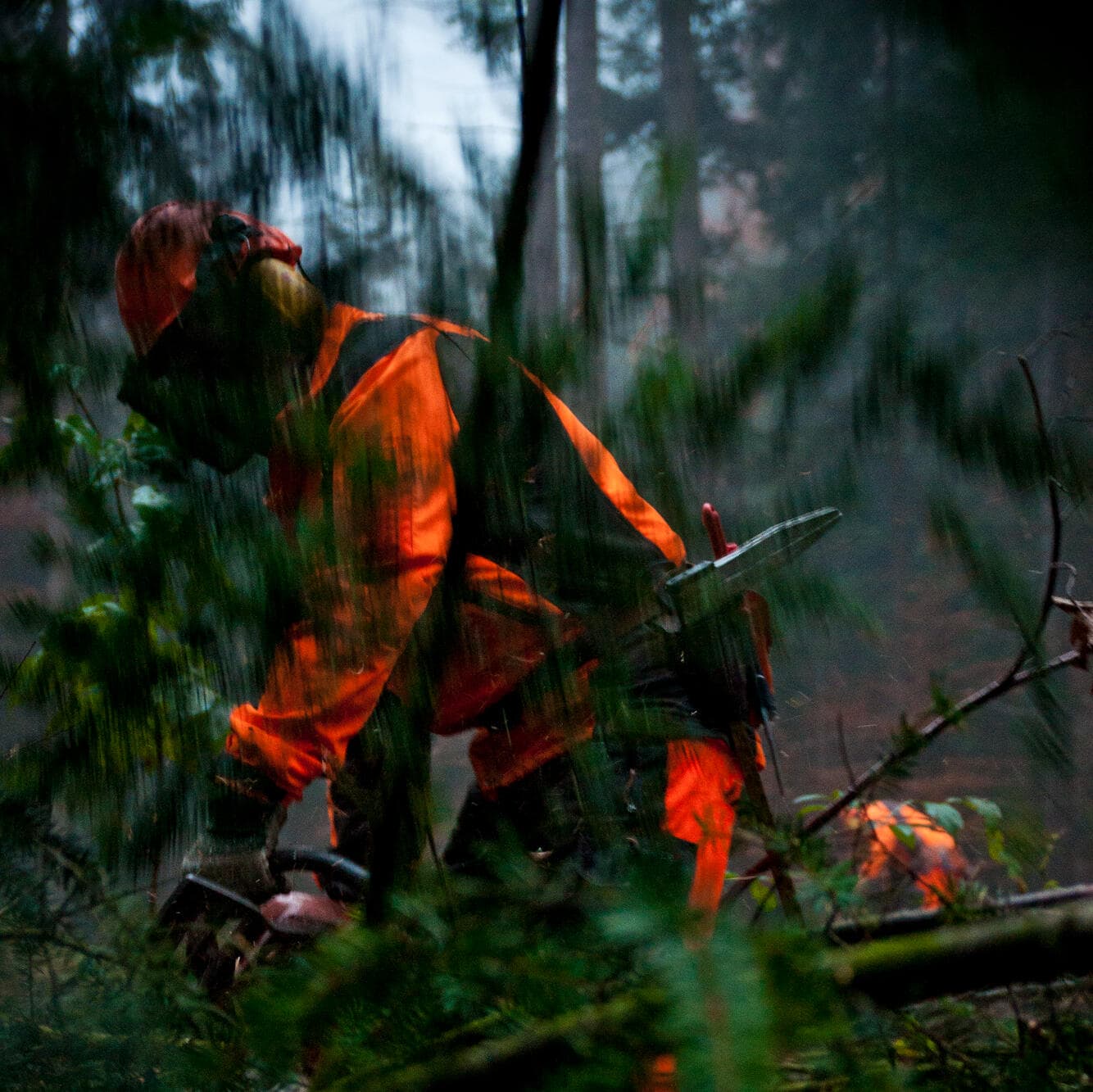 Holzfäller — Bayerischer Wald — Fotografie von Simon Graf (3)