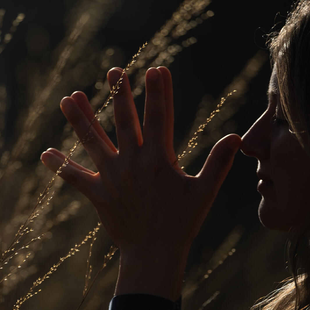 Inara Living Vinyasa