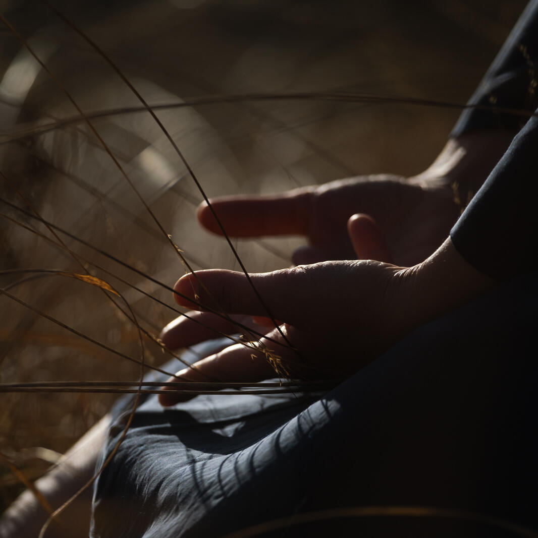 Inara Living Vinyasa