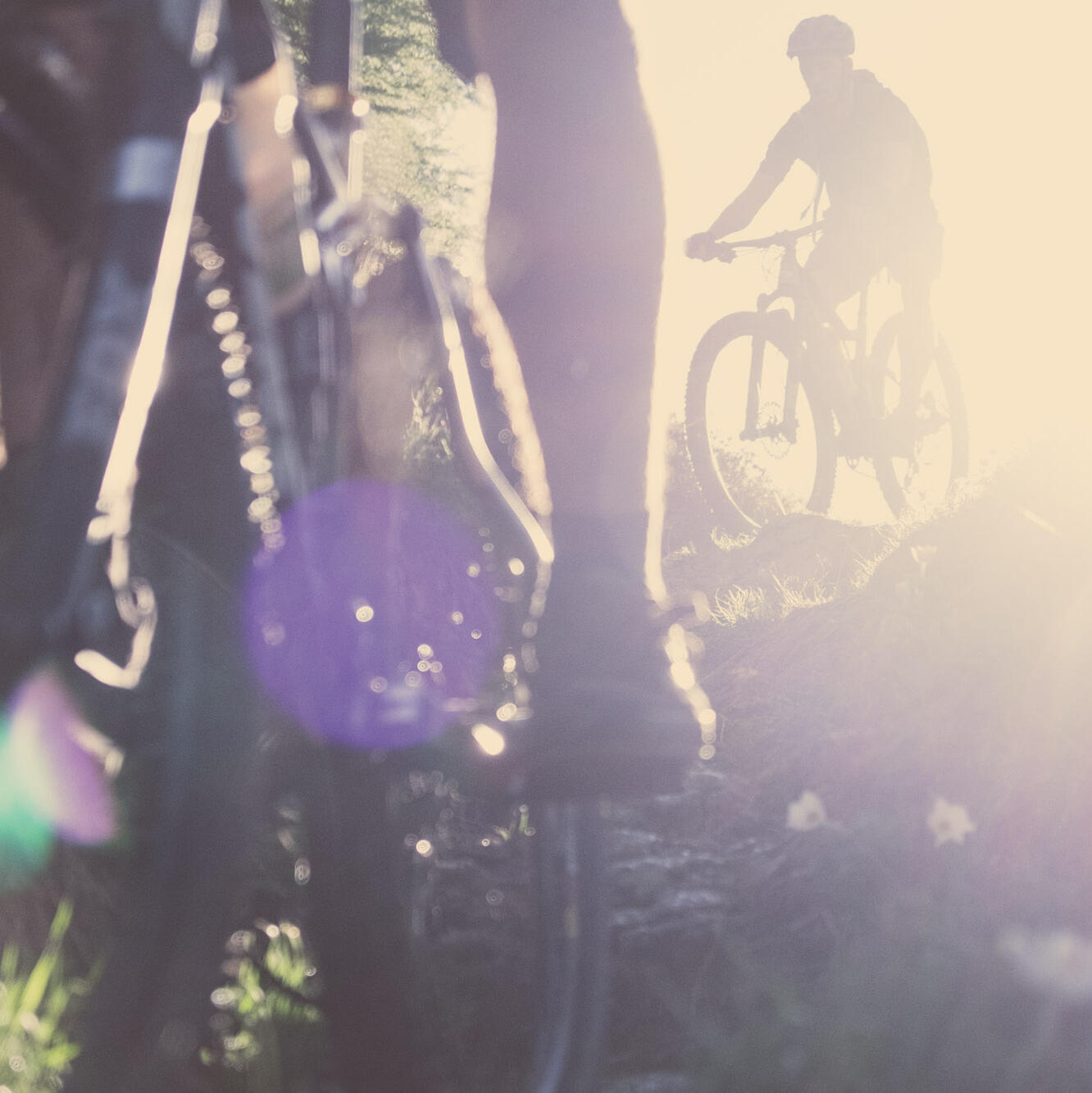 Mission: Mountainbike (5)