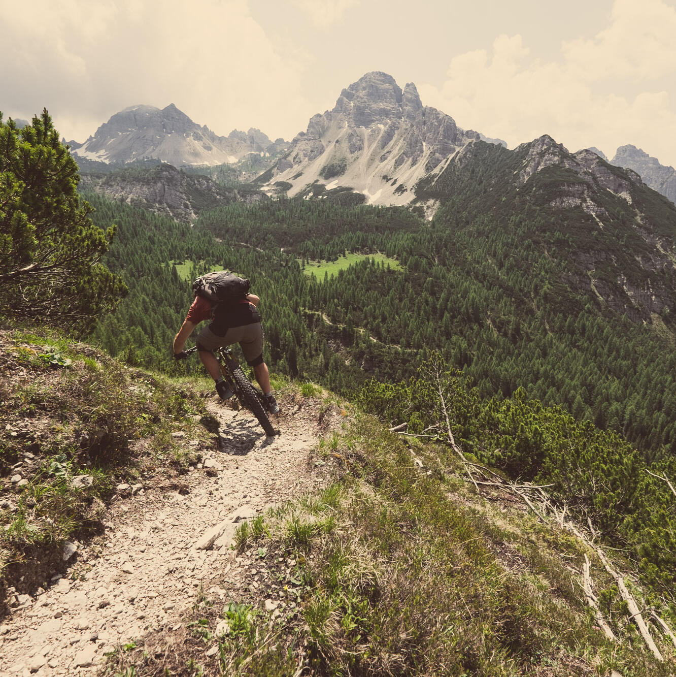 Mission: Mountainbike (6)